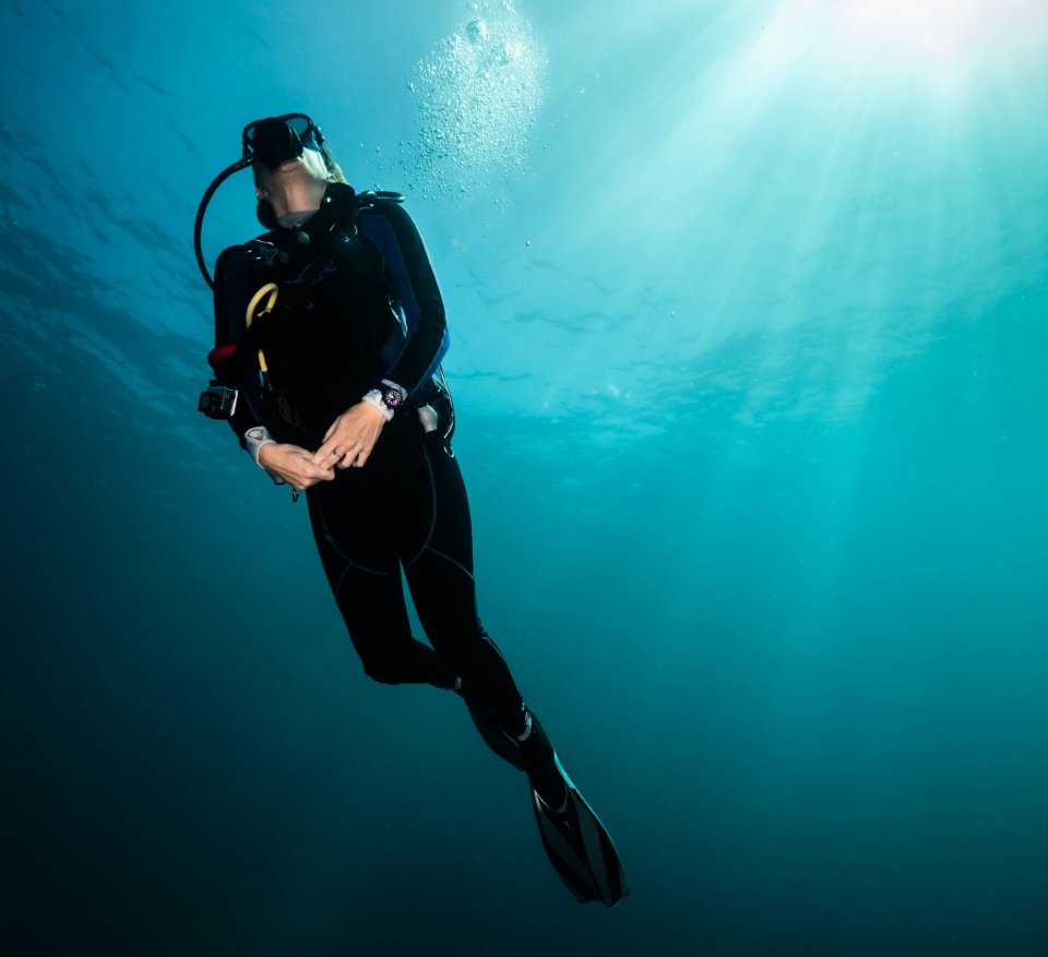 scuba diver in the ocean in a black wetsuit with black fins and a black mask. the sun is shining through the top right into the water. 